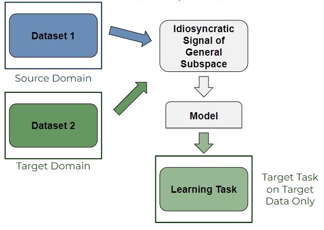 Transfer Learning and Domain Adaptation — fMRI Domain Adaptation Guide